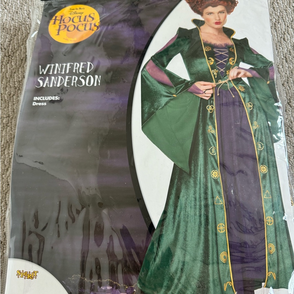 Adult Winifred Sanderson costume